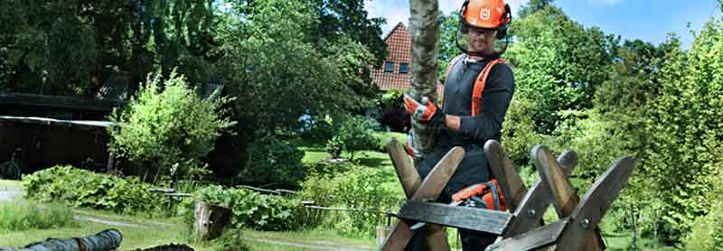 Electric Chainsaw Buying Guide