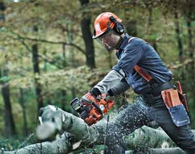 battery-chainsaw-buying-guide