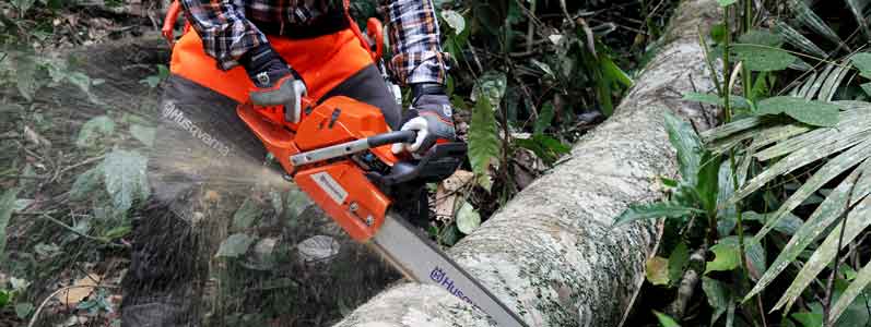 best-cordless-chainsaw