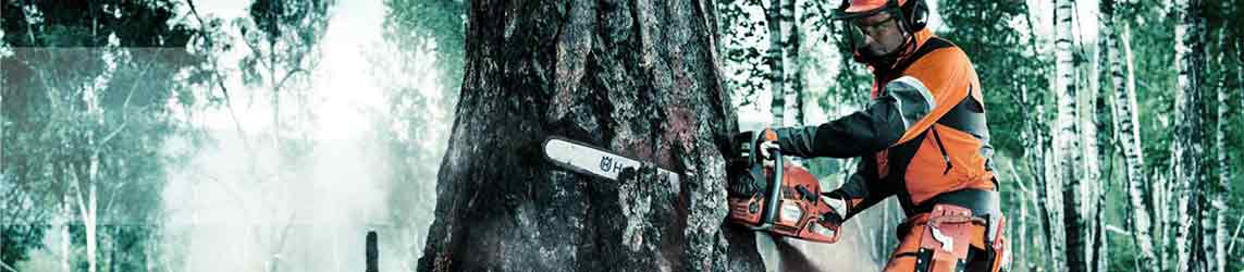 best-gas-chainsaw