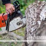 6 Best Chainsaw Mills - (Reviews & Buying Guide 2021)