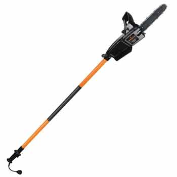 Remington-RM1025P-Ranger-I-Pole-Saw