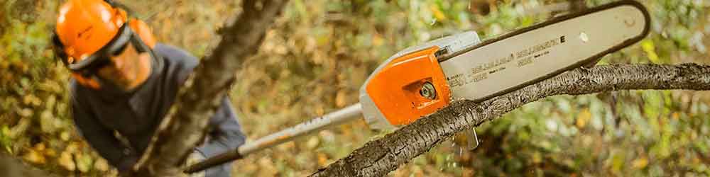 best-pole-saw