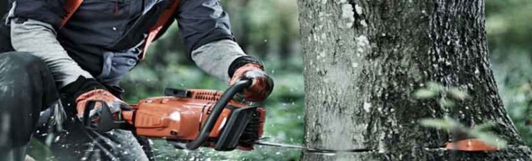 chainsaw confidential chainsaw confidential